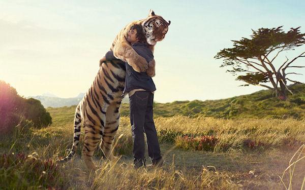 photo humour insolite homme tigre calin