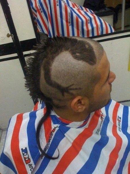 photo humour insolite coupe de cheveux iguane