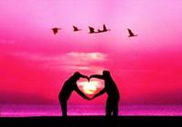 Les relations d'amour et de haine, par Eckhart Tolle 28128 389398954891 638114891 4057830 7732024 n resize