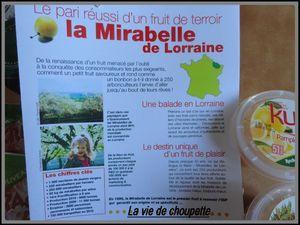 TOUT POUR LES CHEFS - CRACKY FRUITS 011