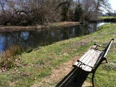 Moments de bonheur printaniers IMG_0199.JPG