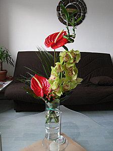 Des fleurs qui mettent du baume au coeur RIMG0006