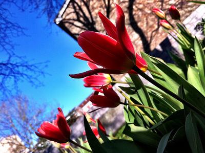 À travers l'objectif d'un iPhone 4S... À travers l'objectif d'un iPhone 4S...