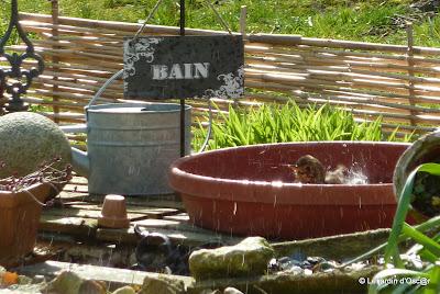 Comme l'année passée (clic) ,je renouvelle l'ex... Comme l'année passée (clic) ,je renouvelle l'ex...