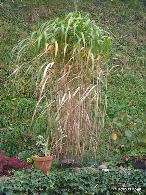Comme l'année passée (clic) ,je renouvelle l'ex... Comme l'année passée (clic) ,je renouvelle l'ex...