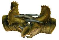 triceratops competition sexuelle dinosaure triceratops competition sexuelle dinosaure