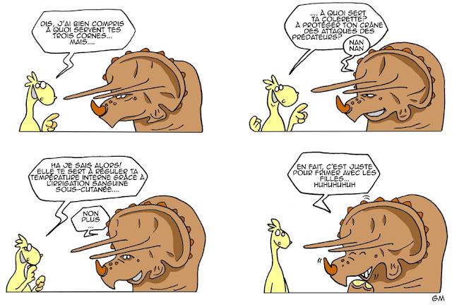 triceratops competition sexuelle dinosaure triceratops competition sexuelle dinosaure