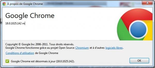 Google Chrome 18 600x2651 Google : Chrome passe en version 18