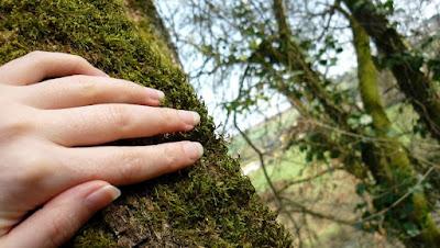 Japonisme : mono no aware 物の哀れ, l'indicible beauté de l'éphémère Japonisme : mono no aware 物の哀れ, l'indicible beauté de l'éphémère