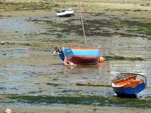 Ivres de soleil et de paysages somptueux ... P1050203