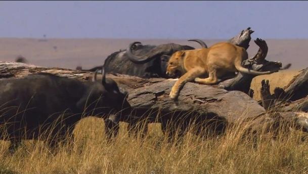 Welcome To Earth HD Bienvenue sur Terre
