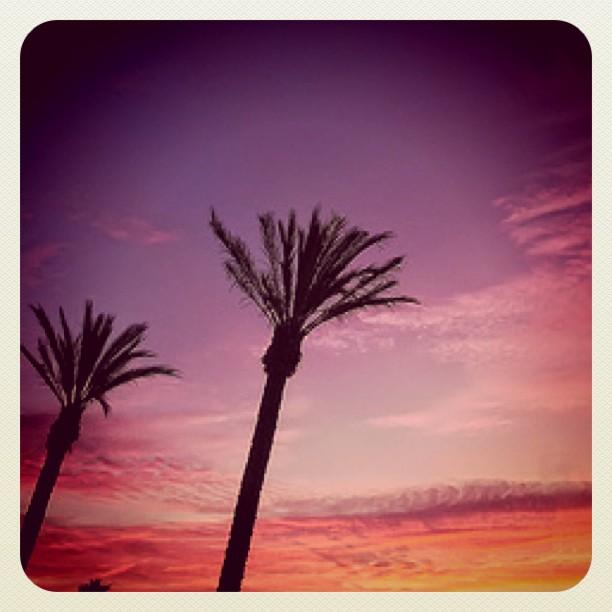 meka The Mekanism Podcast #13