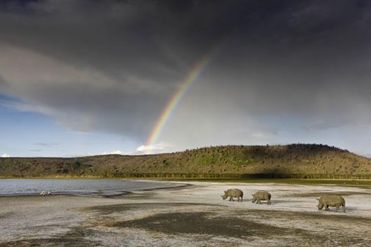 Michael Poliza Le livre du week-end : Kenya de Michael Poliza