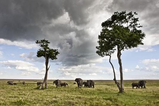 Michael Poliza Le livre du week-end : Kenya de Michael Poliza