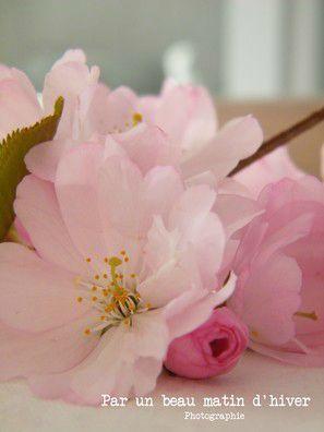 SUNSHINE ...
Ouvrir les fenêtres et ...
&nbs... DSCF8787b