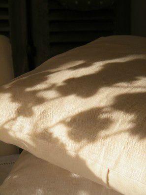 SUNSHINE ...
Ouvrir les fenêtres et ...
&nbs... DSCF8785