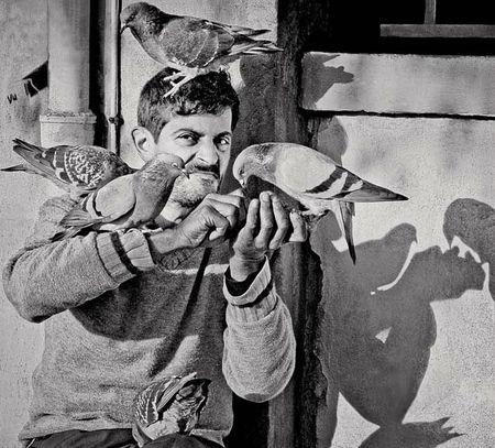 Post n°994 - l'homme qui aimait les oiseaux II - Paris l'homme qui aimait_2_Daaram