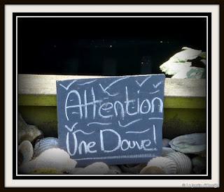 Je profite de son humour ( celui de la Demoiselle, encore... Je profite de son humour ( celui de la Demoiselle, encore...