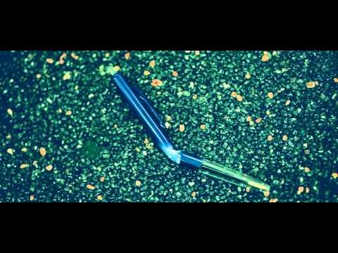 Ces ambassadeurs marocains de la musique #5 : Ali B Image de prévisualisation YouTube