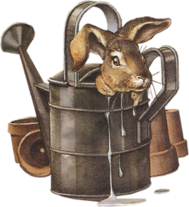 Des petits jeux ! CAJ