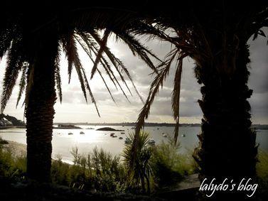 La petite découverte de... Lalydo! P1060506-2