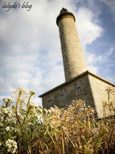 La petite découverte de... Lalydo! P1060673-2