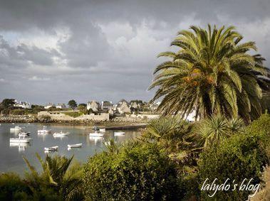 La petite découverte de... Lalydo! port-et-palmier