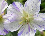 Ce n'est pas nouveau, mais dès lors que l'on recherche un... Ce n'est pas nouveau, mais dès lors que l'on recherche un...