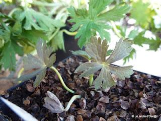 Ce n'est pas nouveau, mais dès lors que l'on recherche un... Ce n'est pas nouveau, mais dès lors que l'on recherche un...