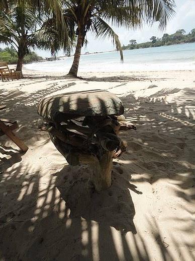 Ezile Bay : variations minérales et végétales (mais pas que) Ezile Bay : variations minérales et végétales (mais pas que)