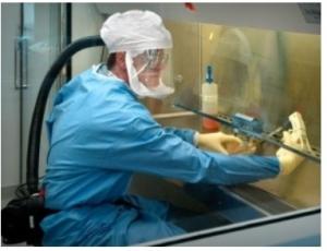 SUPERVIRUS H5N1: L’Agence américaine de Biosécurité laisse publier les études – NSABB et Science Insider