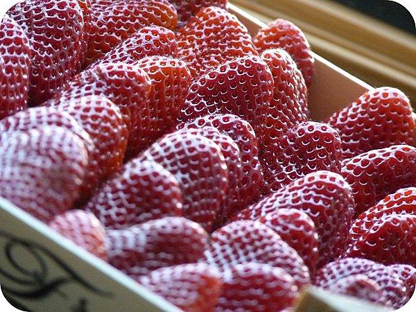 fraises2.jpg