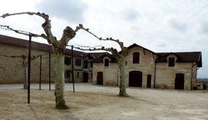 Primeurs 2011 - Saint Julien (2) P1030161