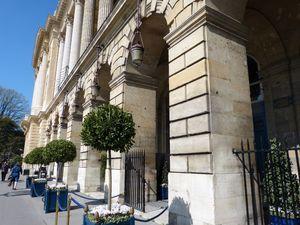 Le luxe rien que pour les yeux P1050099