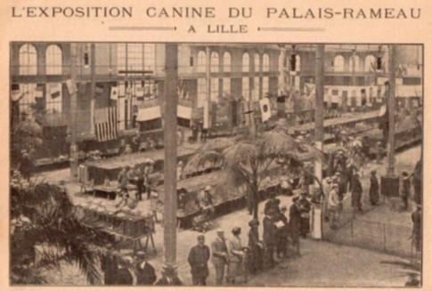 Exposition canine au Palais Rameau.