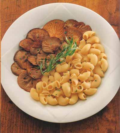 c Coudes rayés aux pleurotes à l’estragon