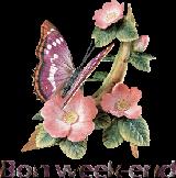 Crèmes aux carambars week8.gif