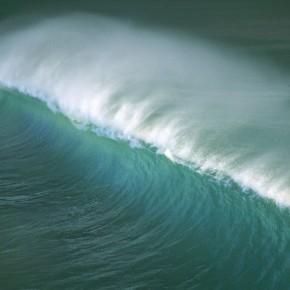 Sarko et la vague Sarko et la vague