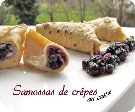 samossa crêpe (scrap1)