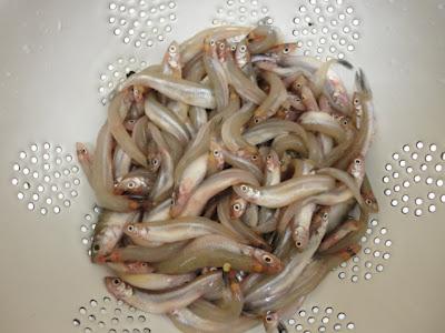 Petits poissons frits et marinés 小魚の南蛮漬け