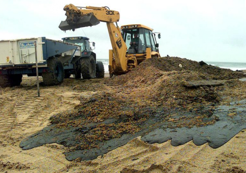 Naufrage de l'Erika, Sarkozy demande un abandon Total des poursuites sarkozy,erika