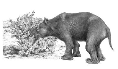 Australie: La mégafaune aurait disparu à cause des chasseurs et non pas du climat