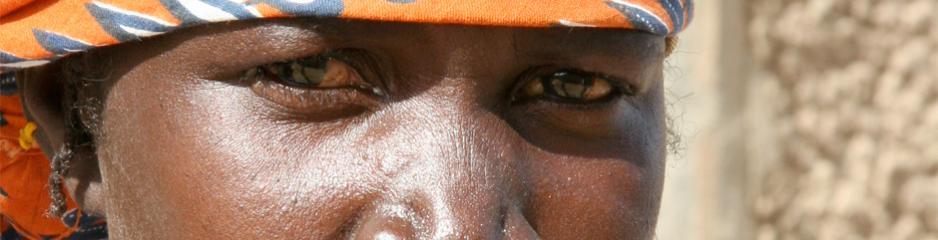 Femmemalienne_0 Les femmes sont-elles victimes de la mondialisation ?