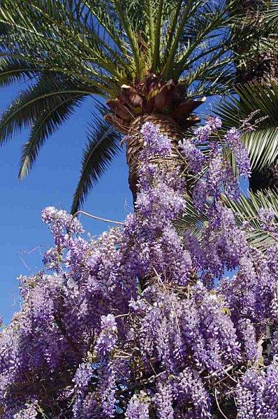 Nice accueillante et déjà au soleil ! Nicesud.jpg