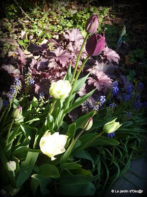 La pluie aura fait un bien fou au jardin boostant les feu... La pluie aura fait un bien fou au jardin boostant les feu...