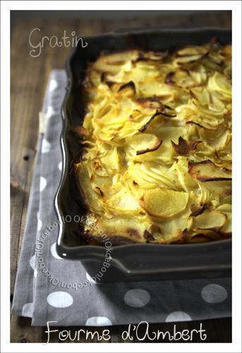 Gratin de pommes de terre à la Fourme d'Ambert 9-8607-copie-1.jpg