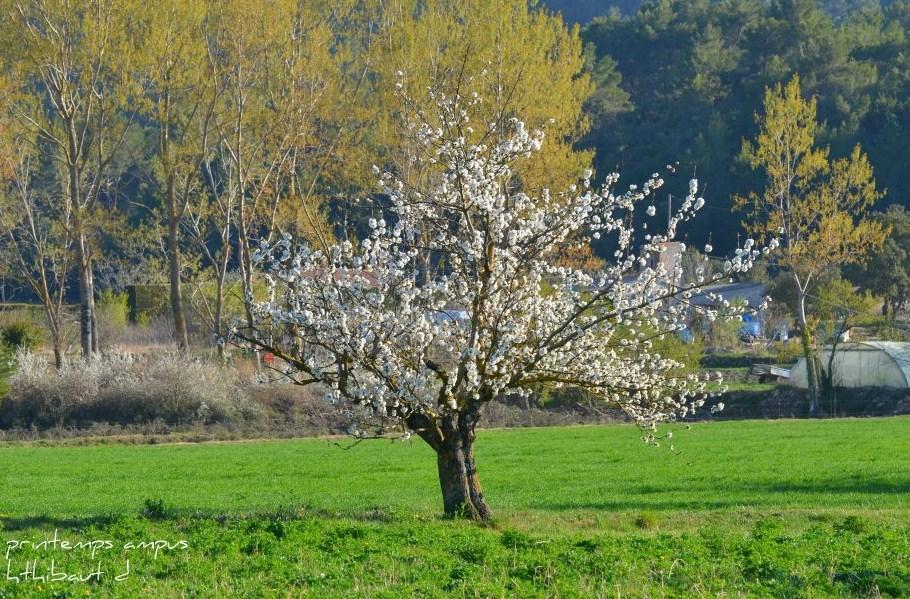 562477_340371899344078_100001138124703_870390_226900439_n Le printemps est là !