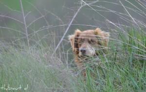 523481_346511812063420_100001138124703_888298_24546331_n Le printemps est là !