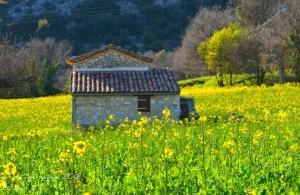 542963_346509688730299_100001138124703_888294_1703894482_n Le printemps est là !