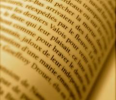 Une maison à la campagne (9) Littérature